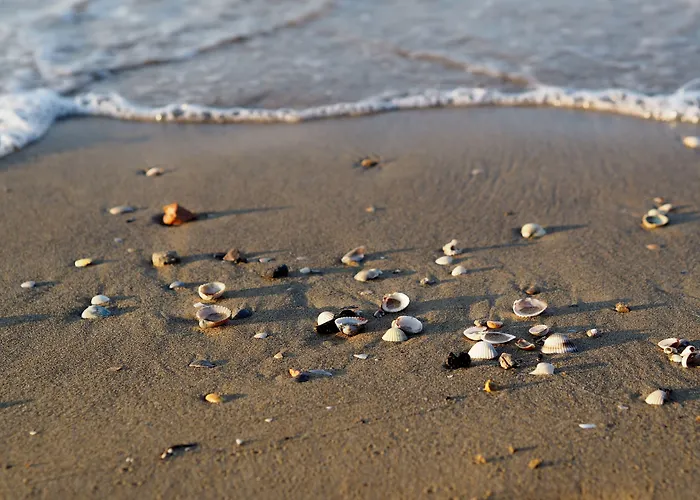 Family Friendly With Garden *